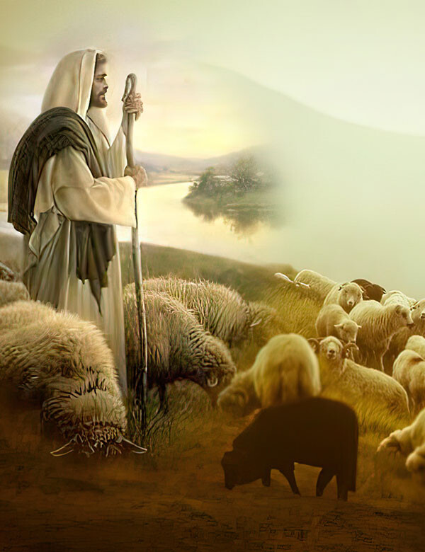Ja jestem dobrym pasterzem i znam owce moje, a moje Mnie znają. 
(J 10, 14)